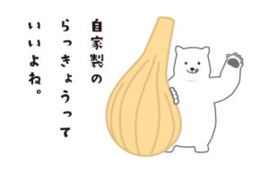 セーフティオート